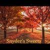 csny22